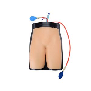 femoral vascular access ultrasound training model